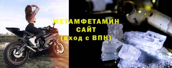прущие грибы Волосово