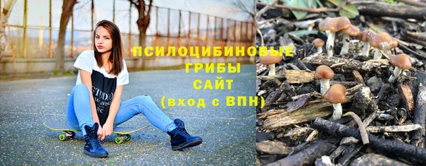 spice Володарск