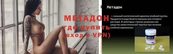 прущие грибы Волосово