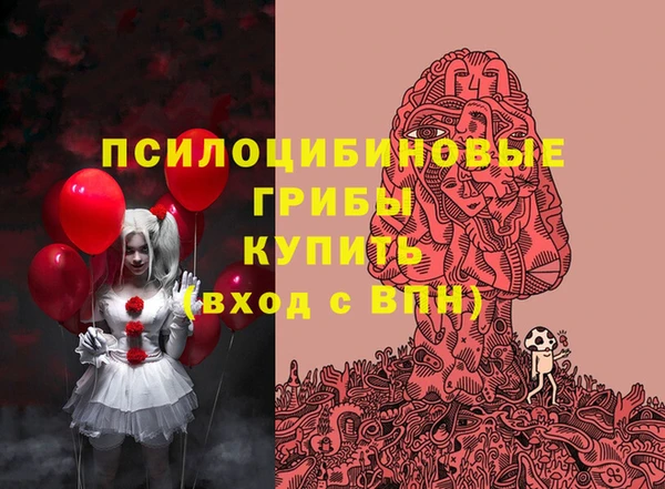 прущие грибы Волосово