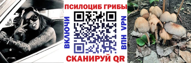 Купить закладки  Балабаново  Псилоцибиновые грибы прущие грибы 